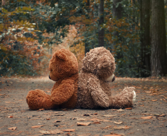 Two brown teddy bears placed sitting down in a middle of a road in a woodland area